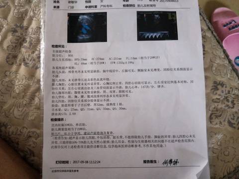 journal_insert_pic_834394425