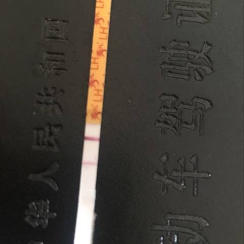 journal_insert_pic_834240047