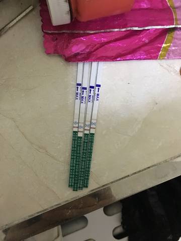 journal_insert_pic_834416633