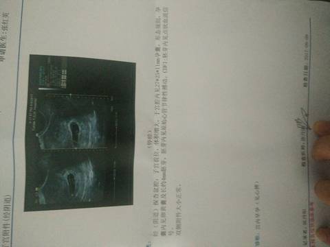 journal_insert_pic_835151847