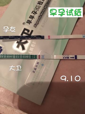 journal_insert_pic_835600492