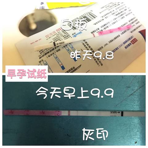 journal_insert_pic_835600454