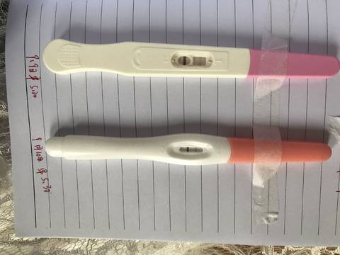 journal_insert_pic_835701910