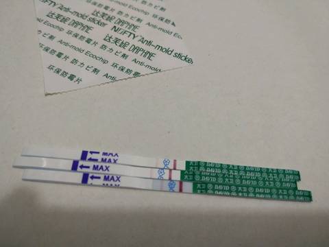 journal_insert_pic_835497131