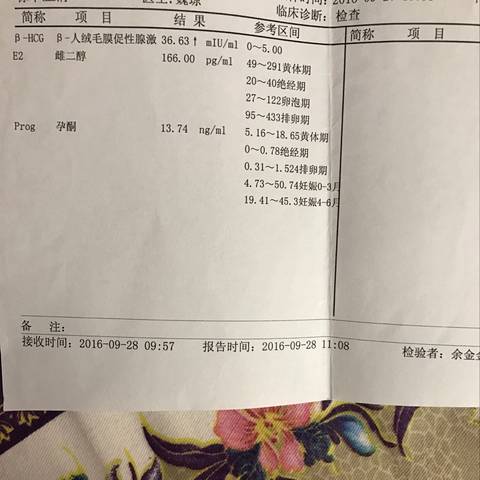 journal_insert_pic_835600847