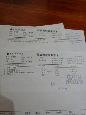 journal_insert_pic_835931333
