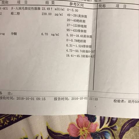 journal_insert_pic_835600851