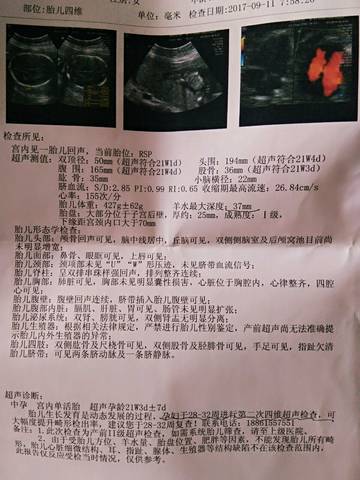 journal_insert_pic_836520244