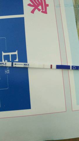 journal_insert_pic_837067421