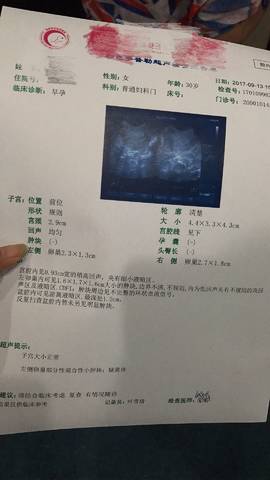 journal_insert_pic_838046477