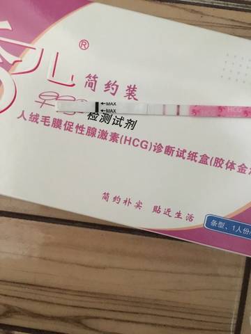 journal_insert_pic_837745542