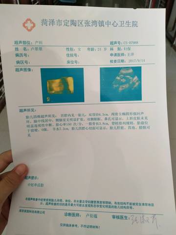 journal_insert_pic_838638501