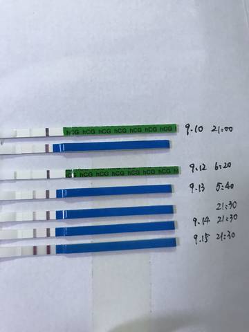 journal_insert_pic_839717538