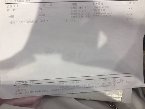 journal_insert_pic_839902155