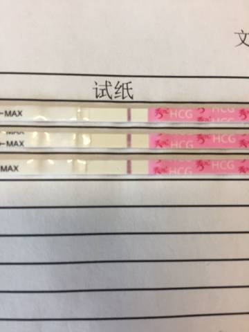 journal_insert_pic_841503617