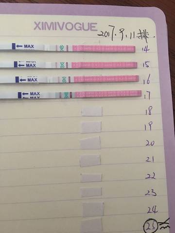 journal_insert_pic_841381576