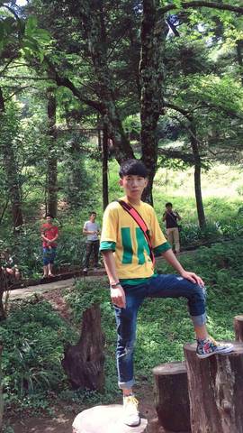 journal_insert_pic_841820795
