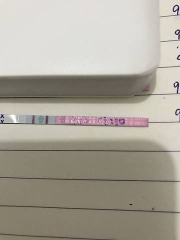 journal_insert_pic_841386115