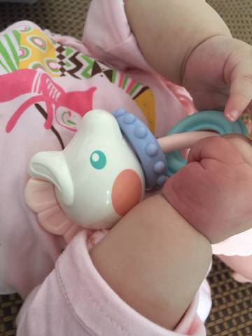journal_insert_pic_841671218