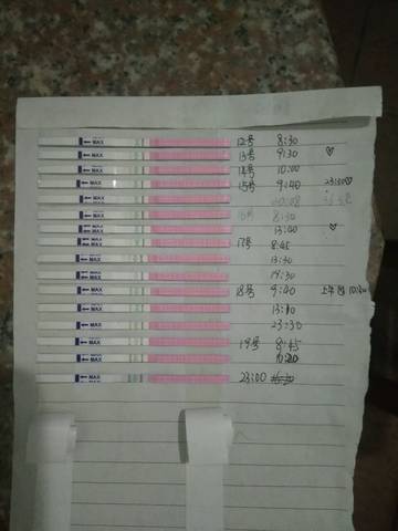 journal_insert_pic_842728406