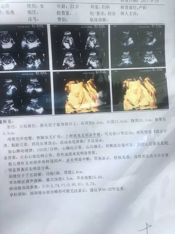 journal_insert_pic_842456303