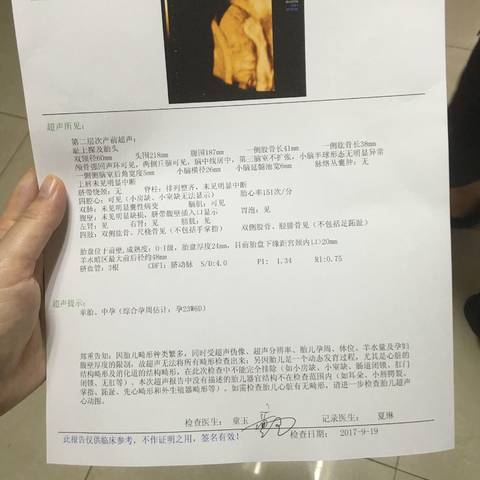 journal_insert_pic_842190532