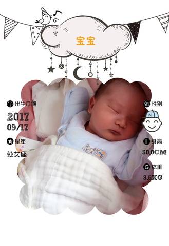 journal_insert_pic_843392427