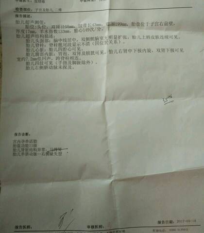 journal_insert_pic_843185022