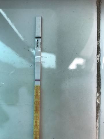 journal_insert_pic_842826695