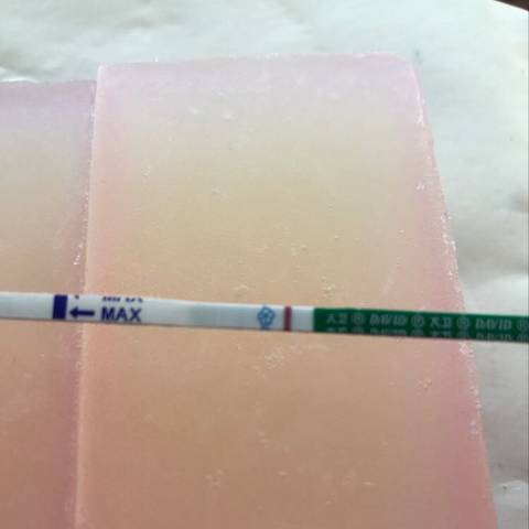 journal_insert_pic_843578598
