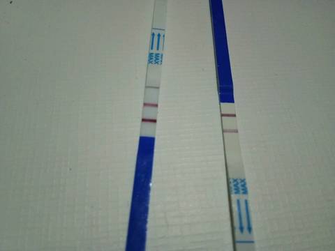 journal_insert_pic_844064209
