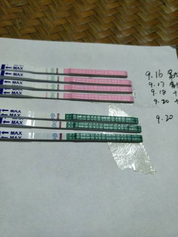 journal_insert_pic_844017563