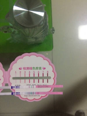 journal_insert_pic_844671558