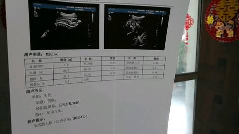 journal_insert_pic_844556075