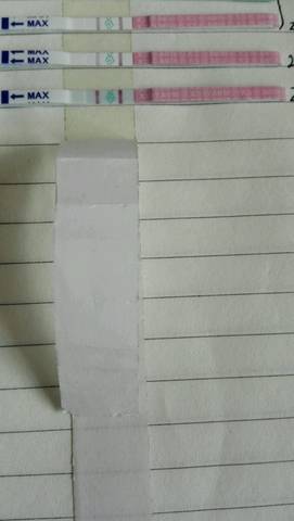 journal_insert_pic_844547064