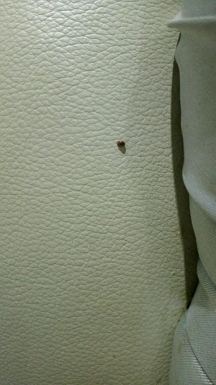 求助