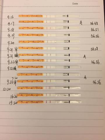 journal_insert_pic_845378340