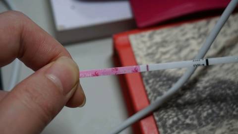 journal_insert_pic_845523813