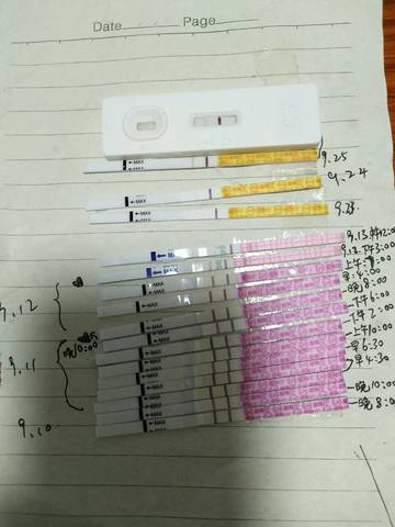 journal_insert_pic_846484540