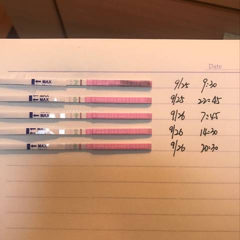 journal_insert_pic_847881141