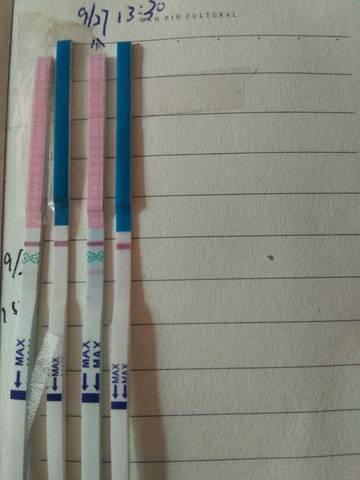 journal_insert_pic_848365042