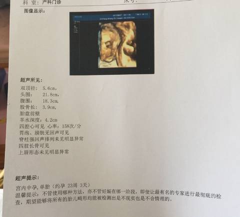 journal_insert_pic_848338504