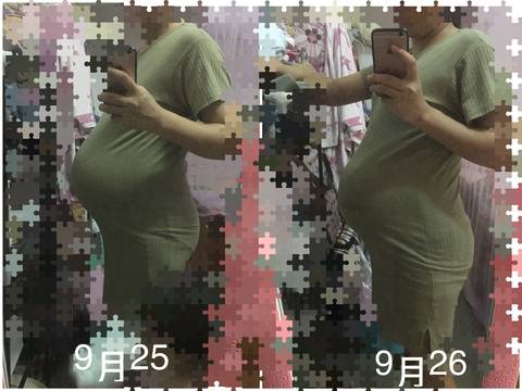 journal_insert_pic_848228065