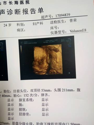 journal_insert_pic_849060335