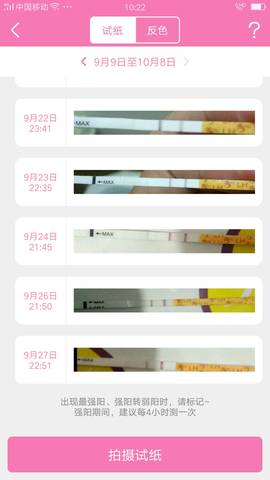 journal_insert_pic_848944726
