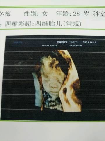 journal_insert_pic_849350304