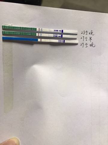 journal_insert_pic_850082721