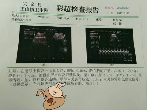 journal_insert_pic_850298459