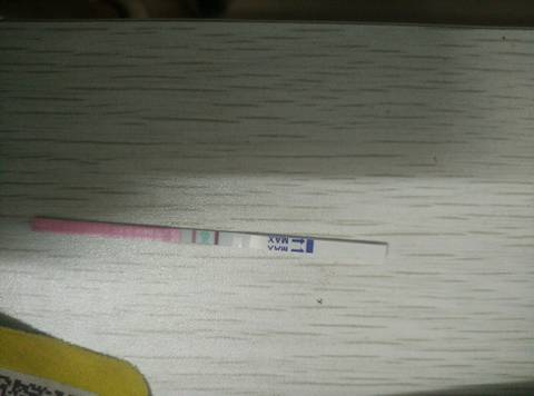 journal_insert_pic_850530478