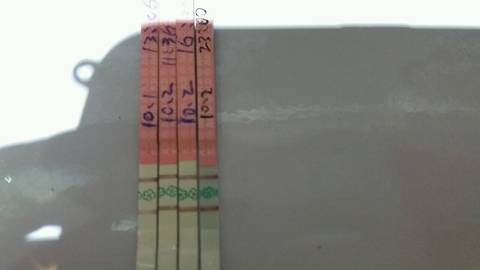 journal_insert_pic_852141370